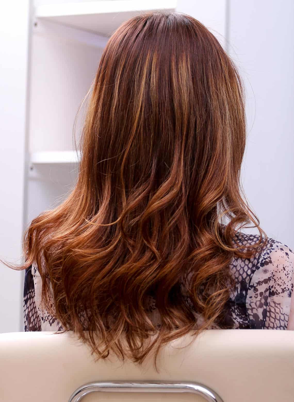 back of person's head showing long brunette hair