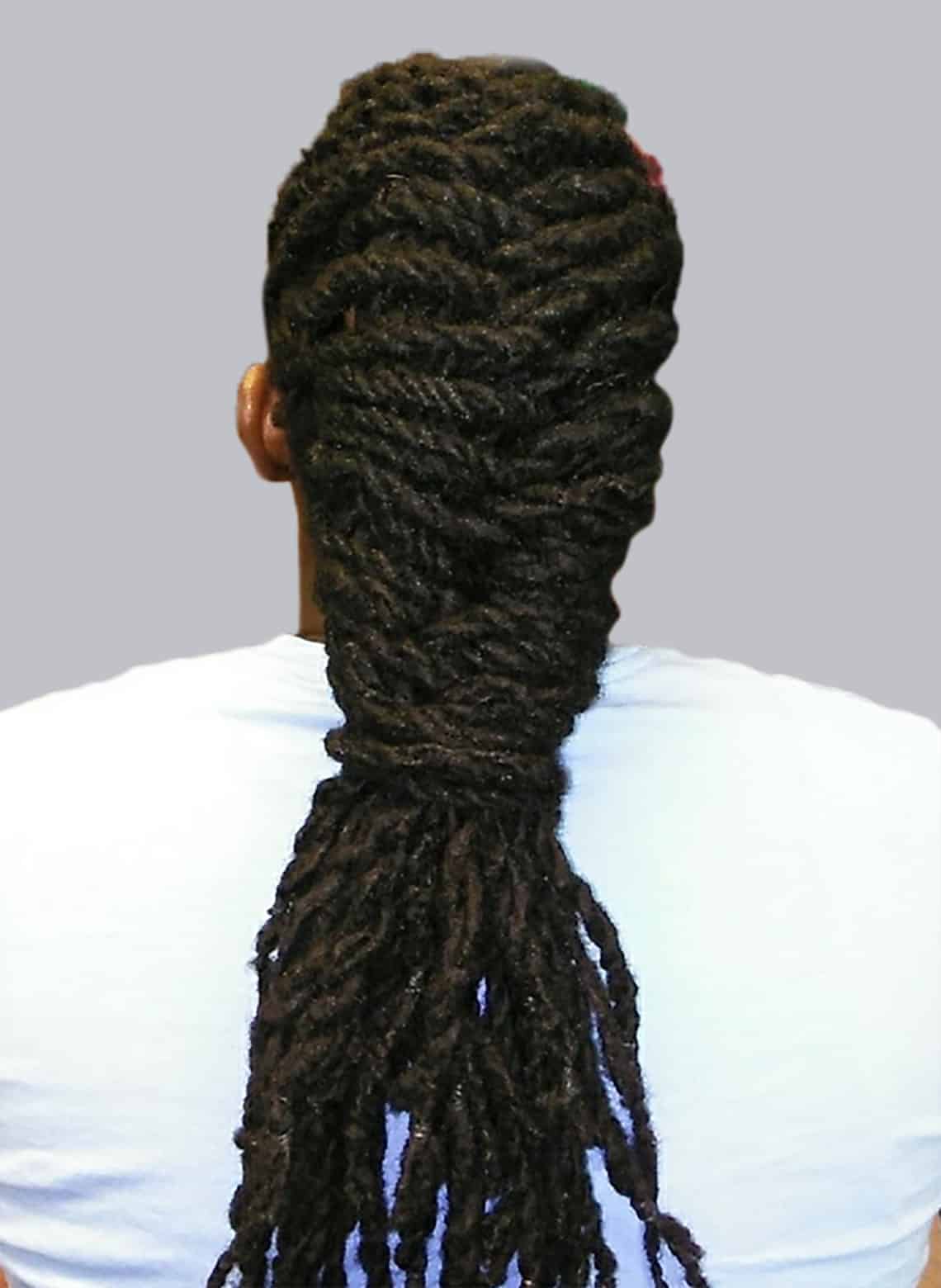 person with fishtail braided dreads