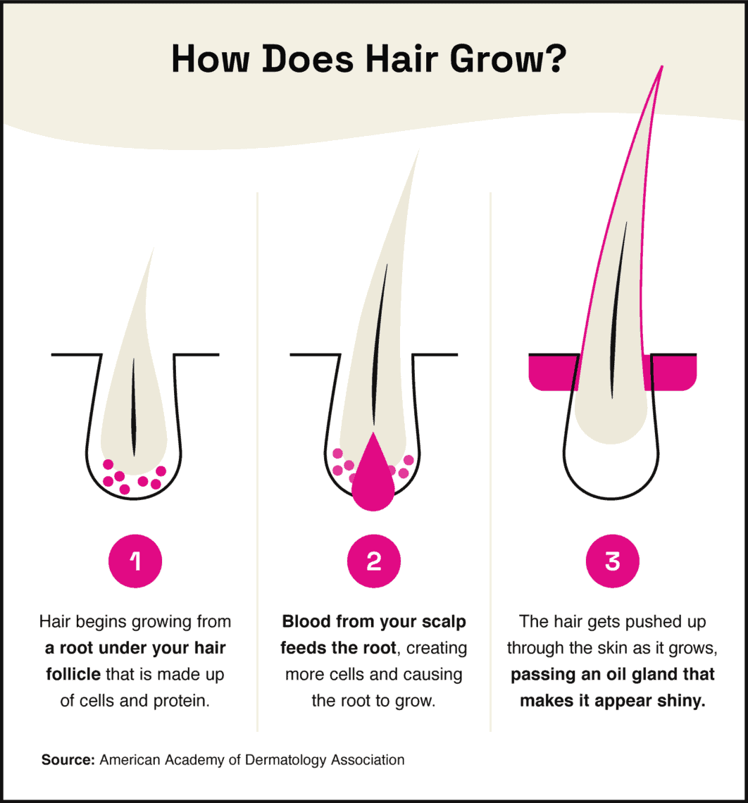 Do Braids Help Your Hair Grow? - StyleSeat
