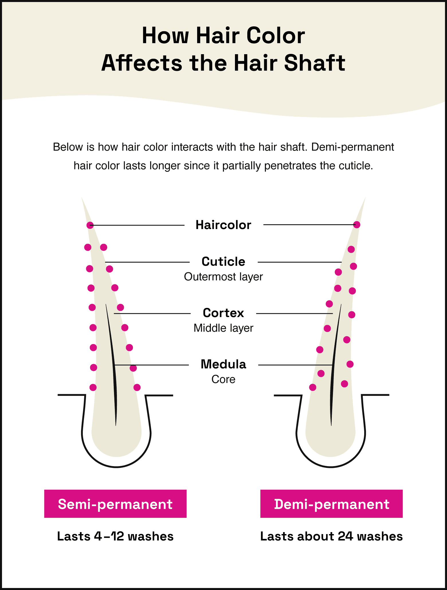 how hair color affects the hair shaft diagram
