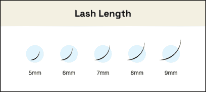 Types of Eyelash Extensions: Ultimate Guide - StyleSeat