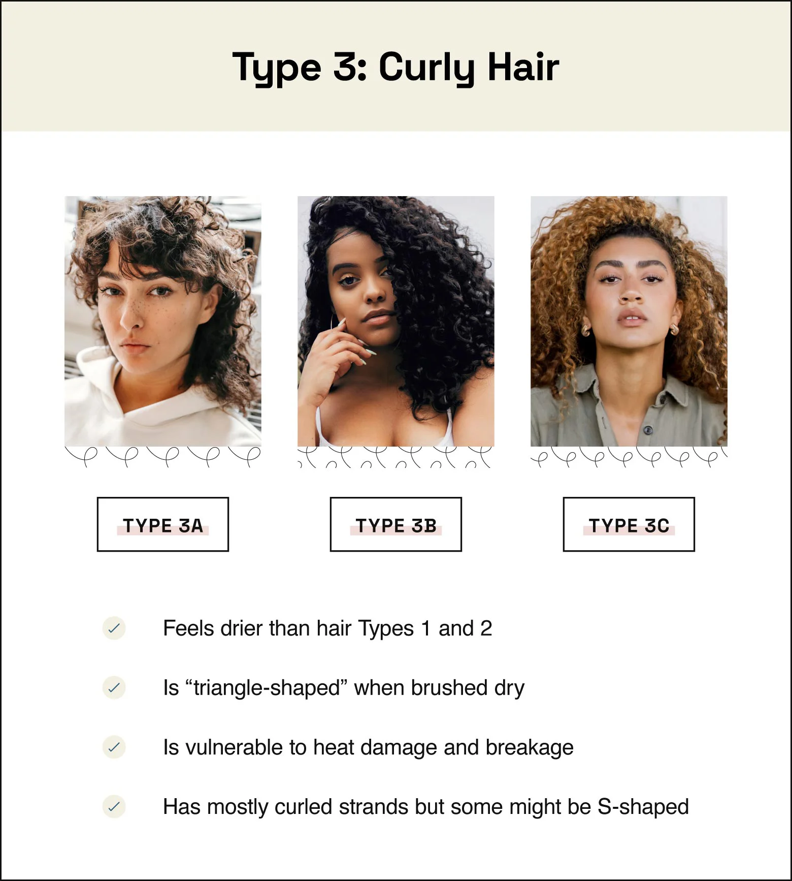 Type 3 hair is curly, feels drier than hair Types 1 and 2, is “triangle-shaped” when brushed dry, is vulnerable to heat damage and breakage, and has mostly curled strands with some s-shaped strands.