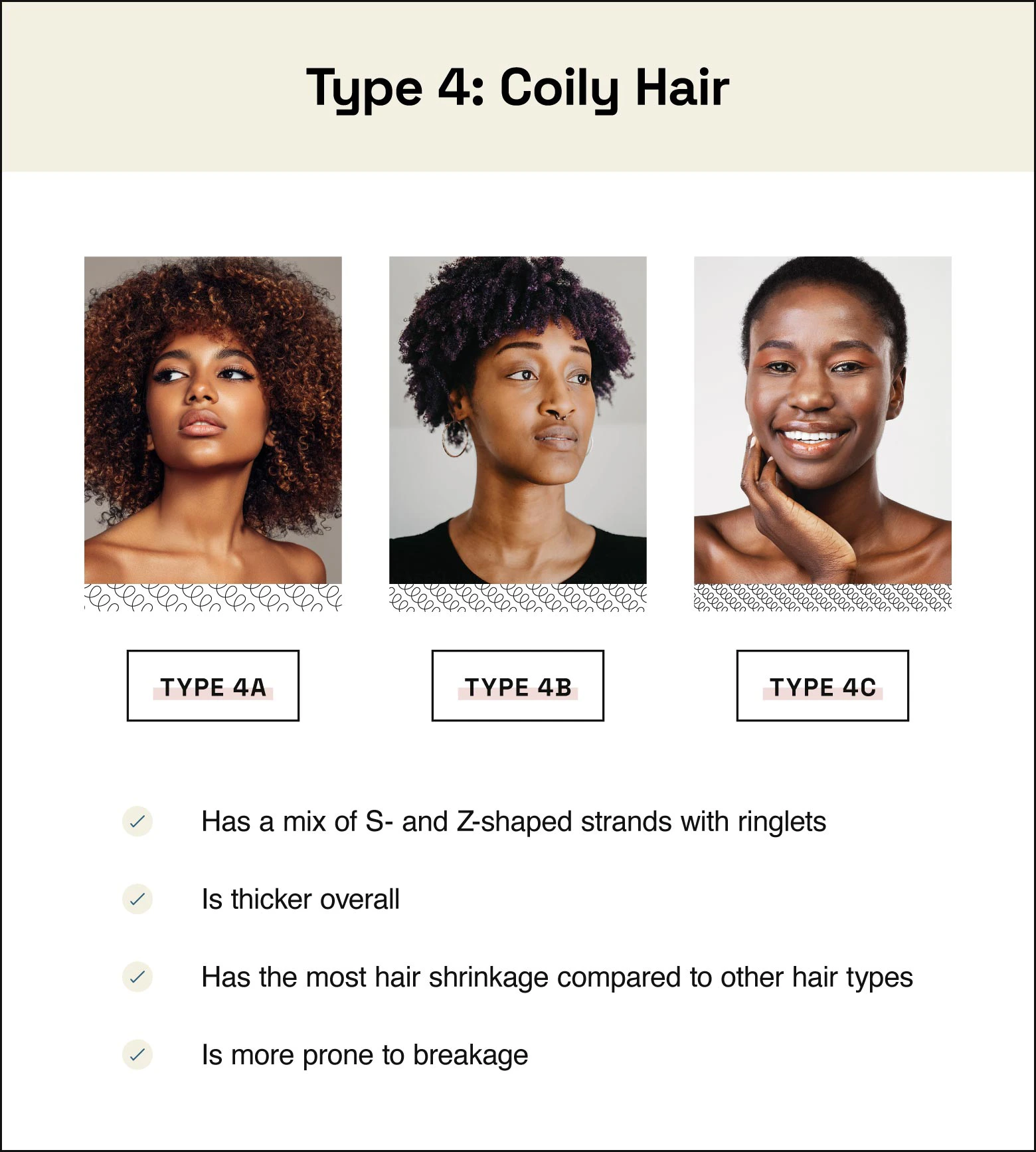 Type 4 hair is coily, has a mix of s- and z-shaped strands, is thicker overall, has more shrinkage than other hair types, and is most prone to breakage.
