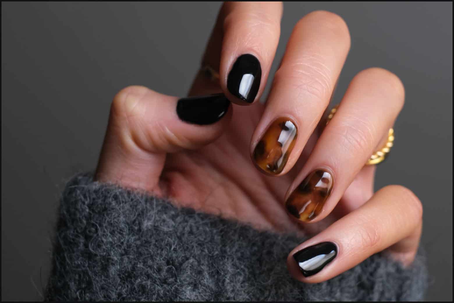 close up of turtle shell and black nails