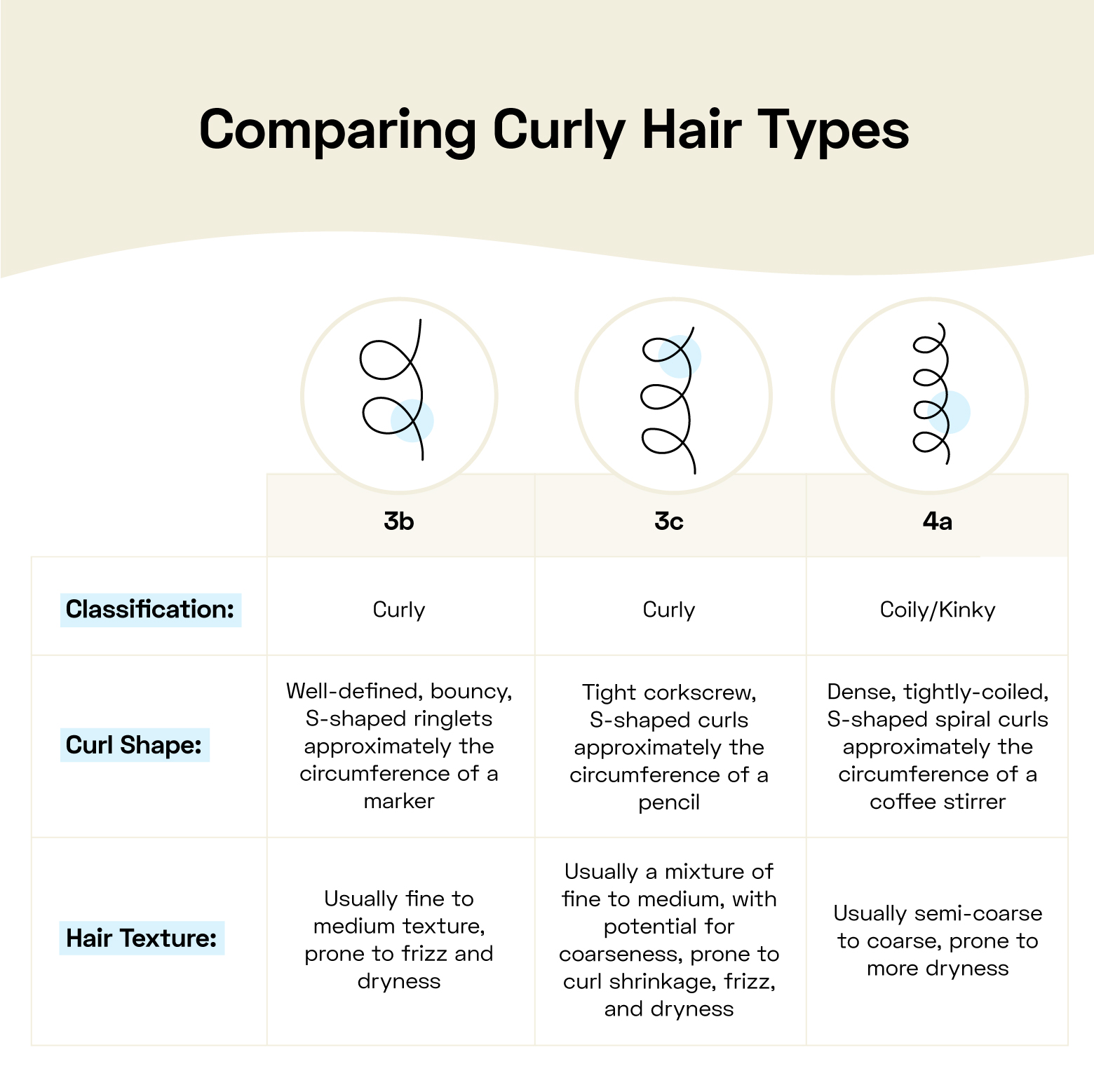 Comparing types of curly hair