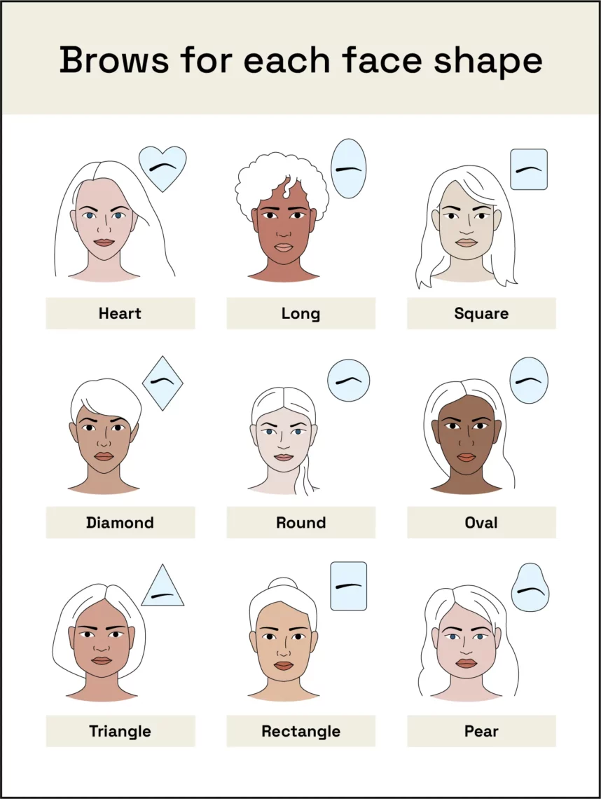 Chart of brows for each face shape 