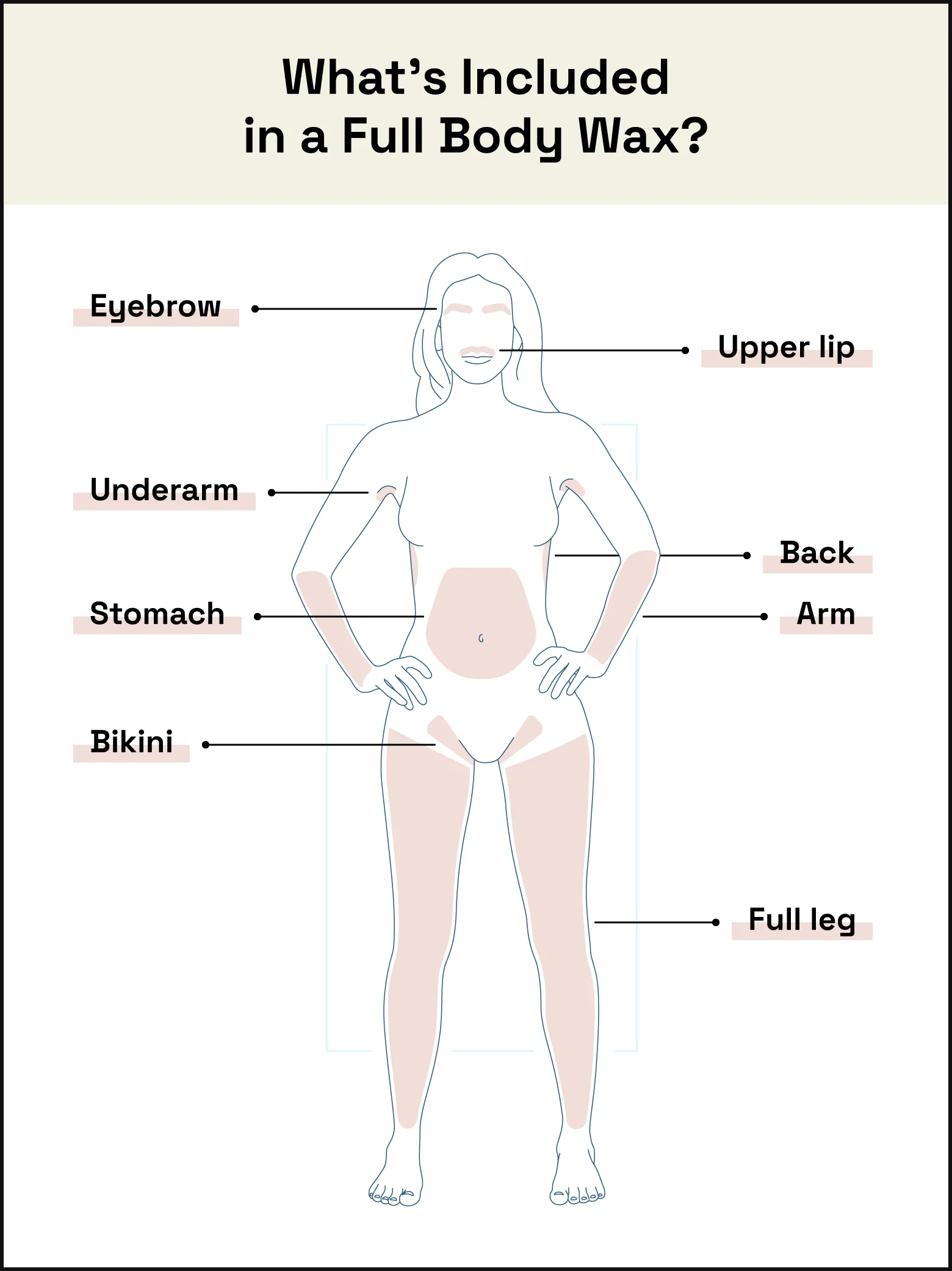 The typical full body wax includes an eyebrow, lip, underarm, arm, back, stomach, bikini or Brazilian, and leg wax.