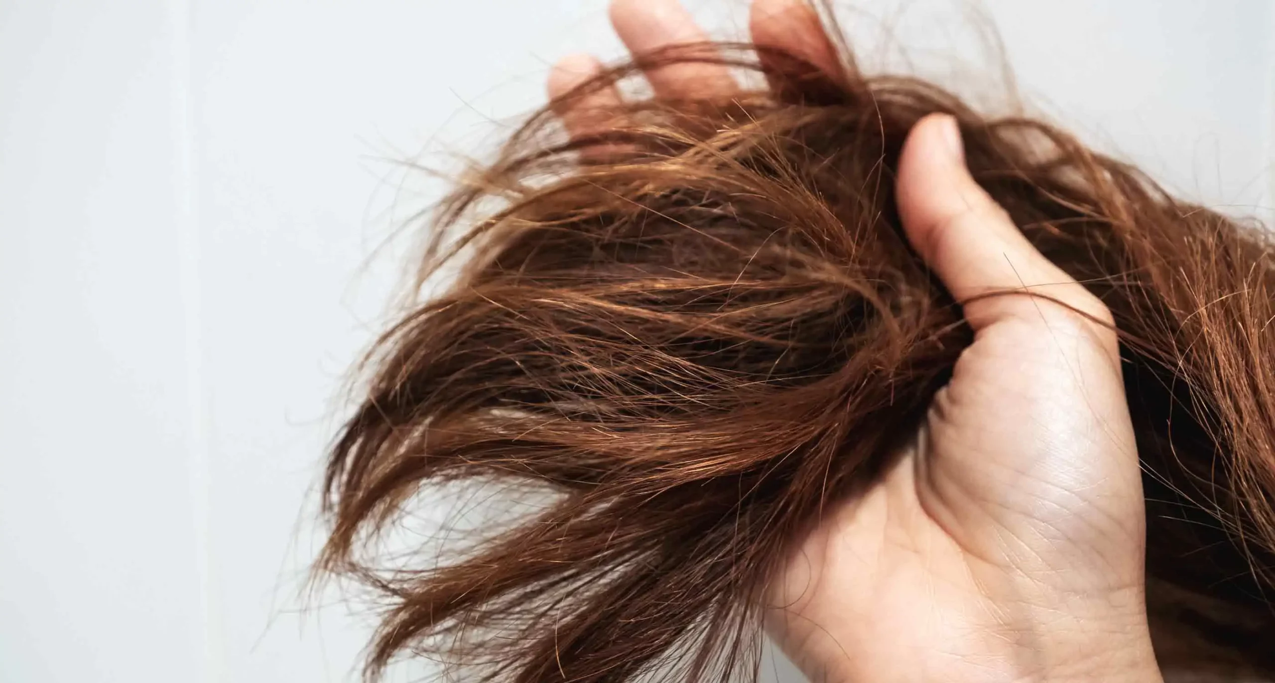 How To Get Rid of Frizzy Hair: 28 Expert Tips - StyleSeat