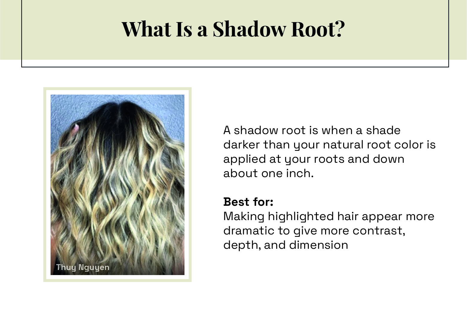 what is shadow root