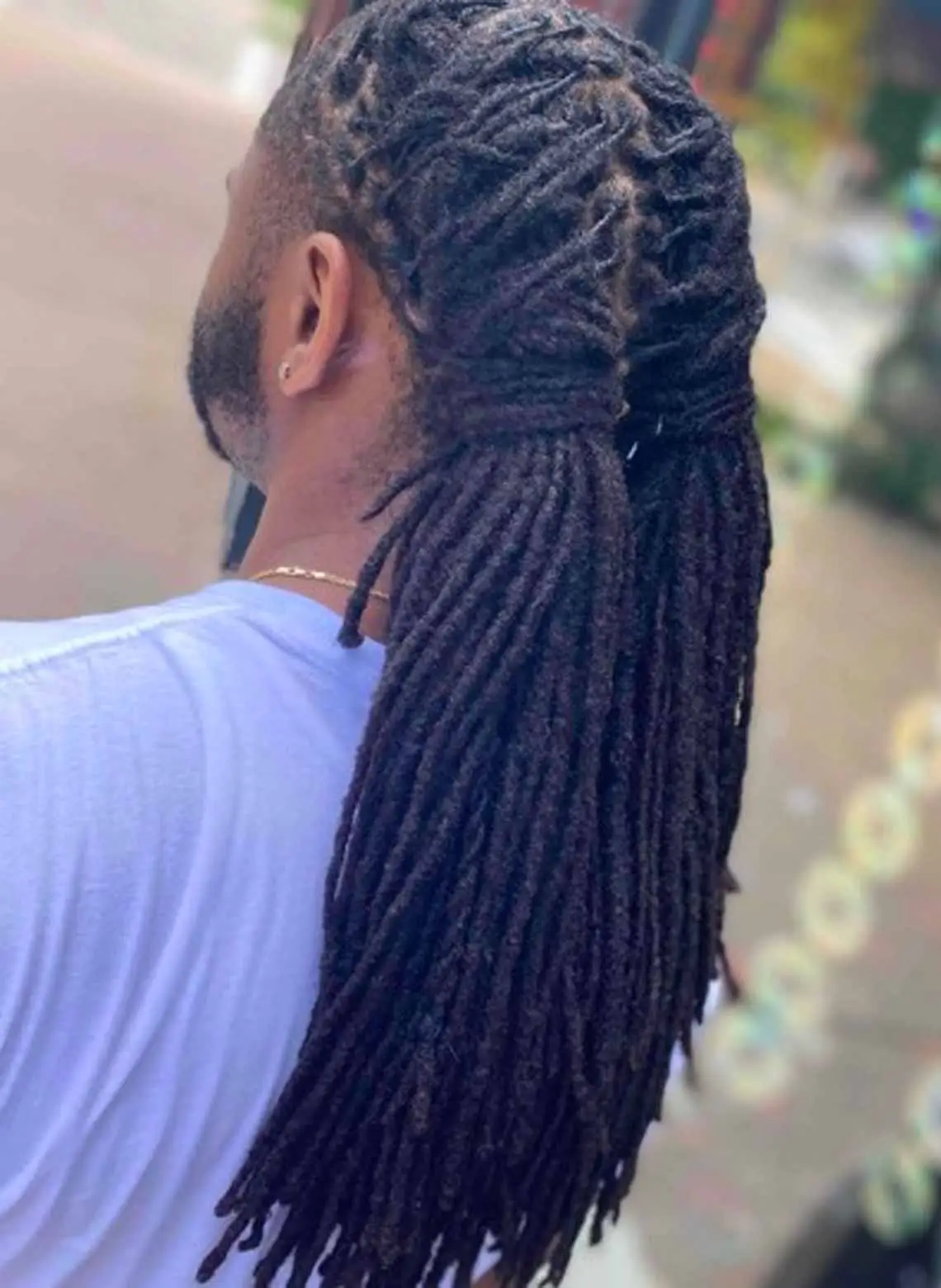 Image of man with braided locs.