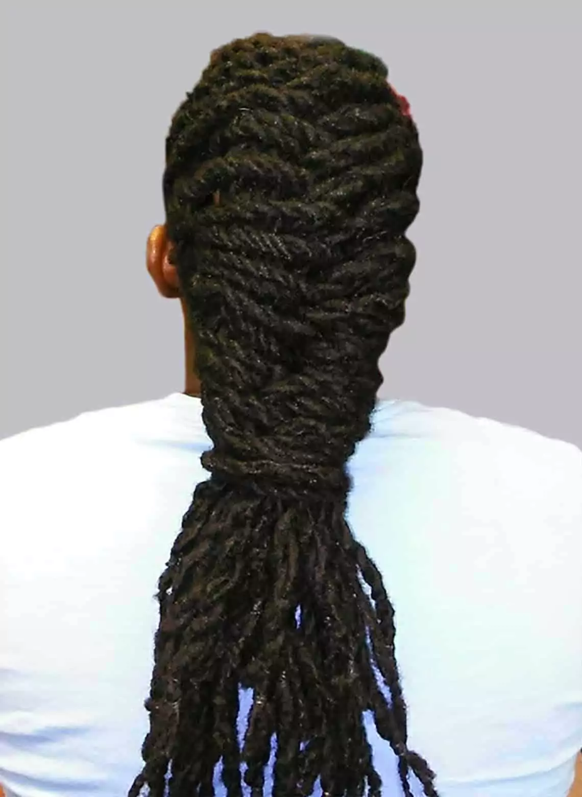Image of man with locs in a fishtail braid. 