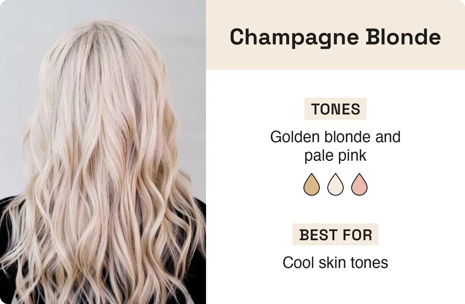 Graphic explaining champagne blonde hair and what skin tones it’s best for. 