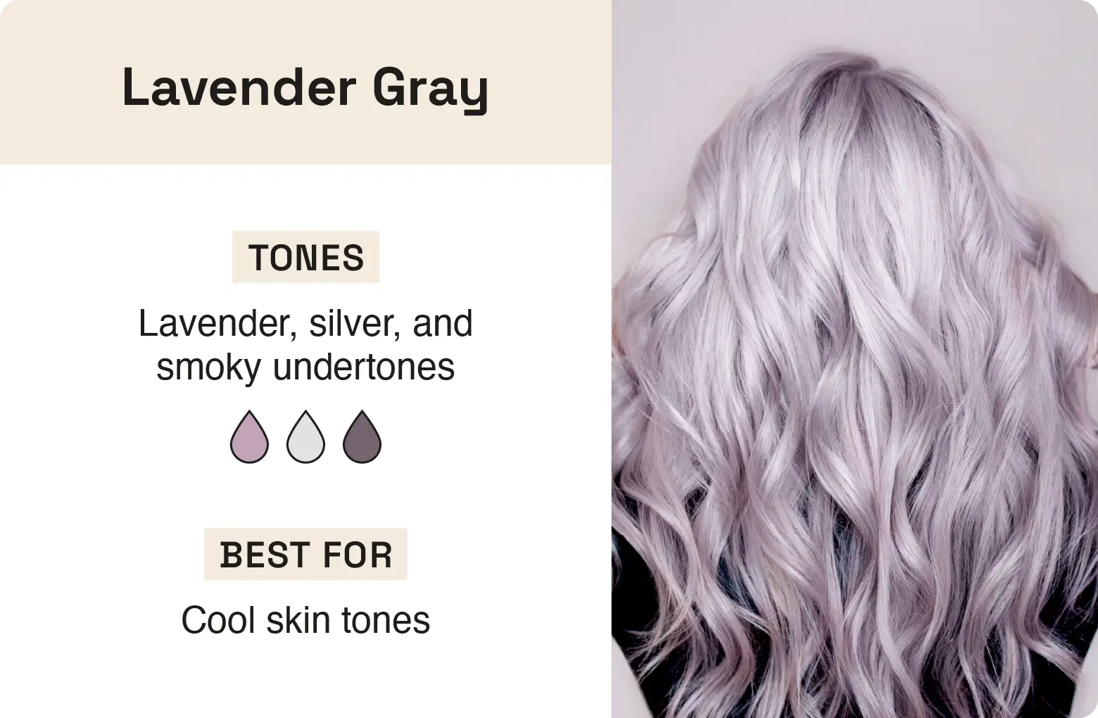 Graphic explaining lavender gray hair and what skin tones it’s best for.