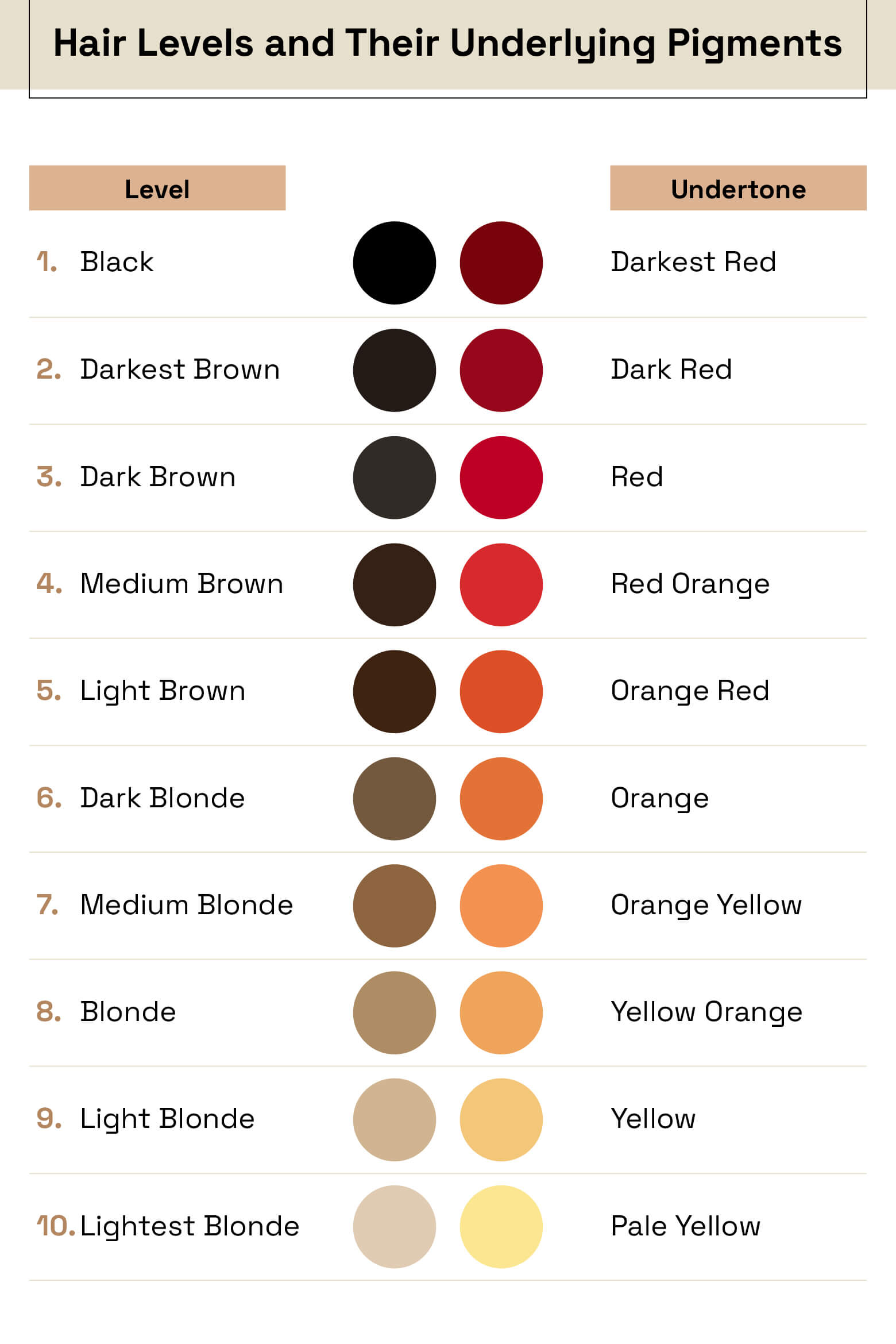 hair levels and their underlying pigments