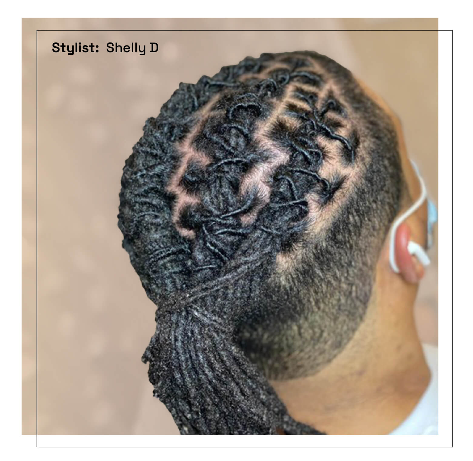 twisted high top locs in ponytail